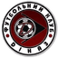 Dinaz Vyshgorod logo