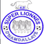 Super Lionnes Women logo