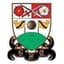 London Bees Women logo