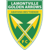 Golden Dream logo - United VS Golden Dream Live Score