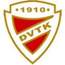 Diosgyori VTK Women logo