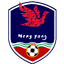 Hengyang Team logo