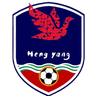 Hengyang Team logo