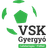 CS Gheorgheni logo