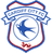 Cardiff City logo