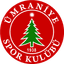 Umraniyespor U19 logo