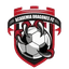 Academia Dragones FC logo
