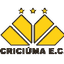 Criciuma U20 Women logo