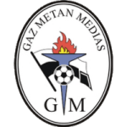 Gaz Metan Medias logo