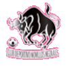 CD Novillos Neza logo - Neza VS Cilesi Fc Live Score Today