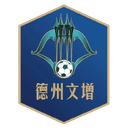 Dezhou Team logo - Team VS Dezhou Team Result