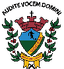 Vocem SP Youth logo