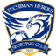 Techiman Heroes logo