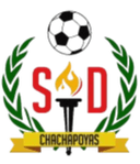 Union Santo Domingo logo - Stein VS Union Santo Domingo Score