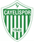 Cayelispor logo