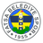 Fatsa Belediyespor logo