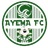 Ayema logo