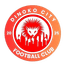 Dinoko City FC logo