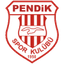 Pendikspor logo