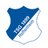 Hoffenheim U19 logo