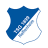 Hoffenheim U19 logo