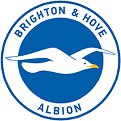 Brighton Hove Albion logo