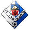 Slavicin logo - Slavicin VS Msk Breclav Sport