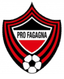 US Pro Fagagna logo