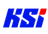 Iceland U19 logo