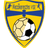 Mezokeresztes VSE logo