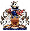 Barry Town Women logo