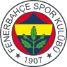 Fenerbahce U19 logo