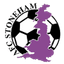 AFC Stoneham logo