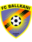 FC Ballkani U19 logo