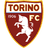 Torino U19 logo