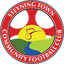 Steyning Town logo