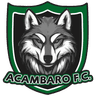 Acambaro FC logo
