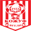 FK Kozuv logo