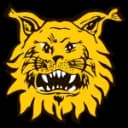Ilves II (w) logo - W VS Ebk Espoo W Result Today