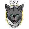 ZNK Radomlje Women logo - Women VS Znk Radomlje Women Score
