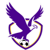 Boroondara logo - Sc VS Boroondara Live Score Today