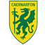 Caernarfon logo