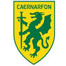 Caernarfon logo