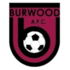 Burwood AFC logo - Afc VS Halswell United Live Score Today