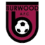 Burwood AFC logo