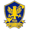 Retro FC Brasil U20 logo - Youth VS Retro Fc Brasil U Live Score Today