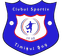 CS Timisul Sag logo - Rom Cup 32032 Football