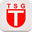 TSG Tubingen logo