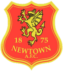 Newtown AFC logo - Afc VS Gresford Live Score
