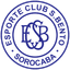 Sao Bento SP Youth logo